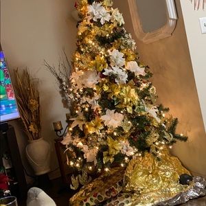 Meet your Posher, Gary